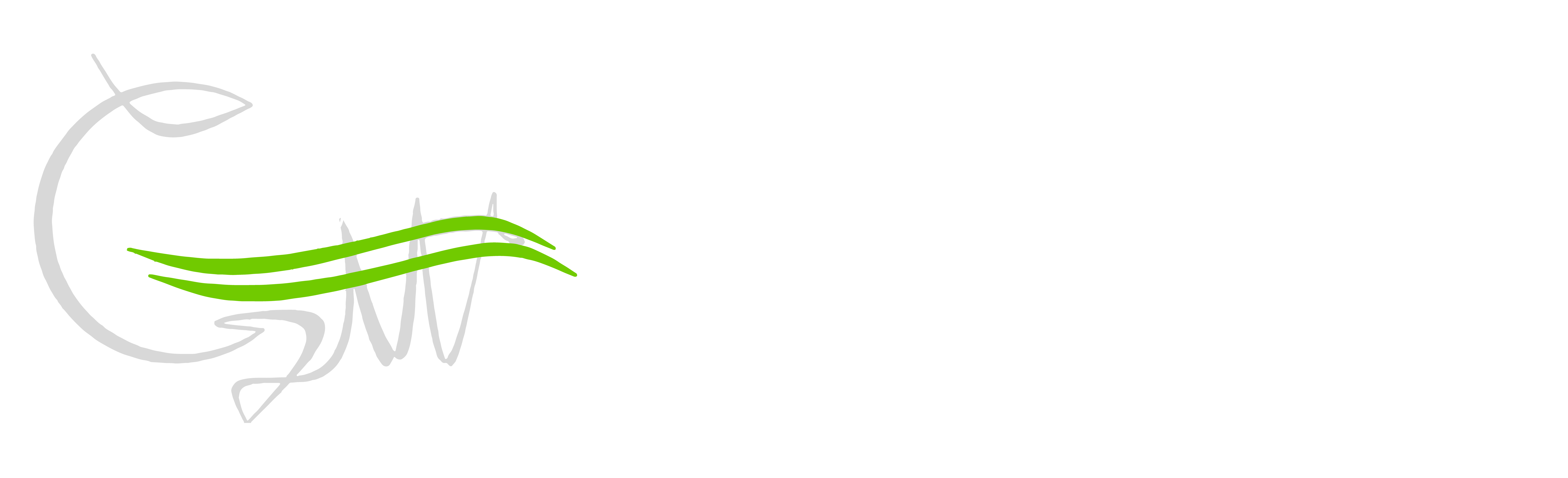 Green Wave Electric Scooters